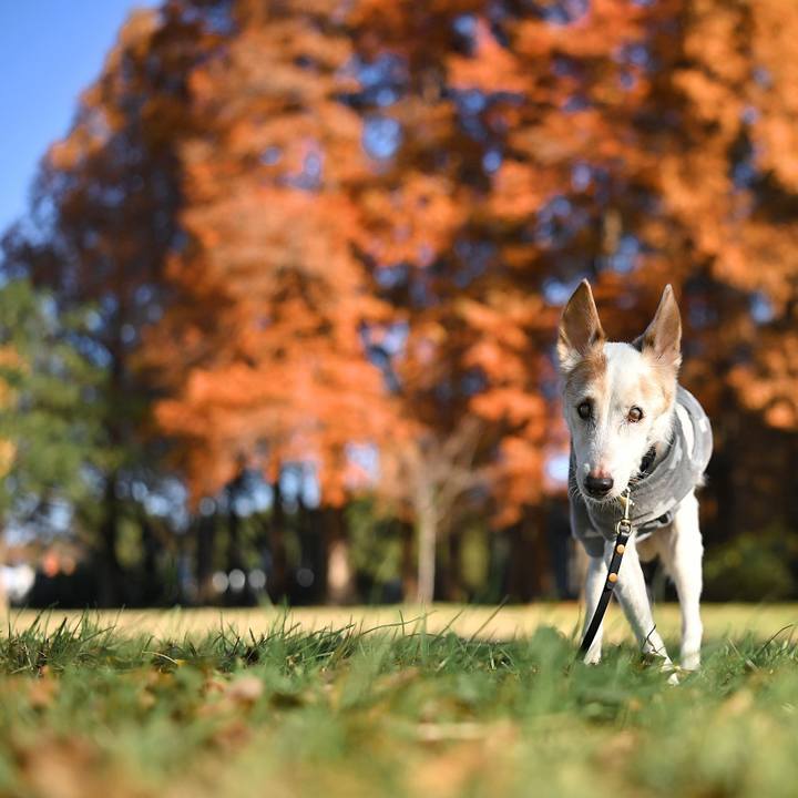 45a5e056 78b2 4392 8980 606616c297ee 1764412614644