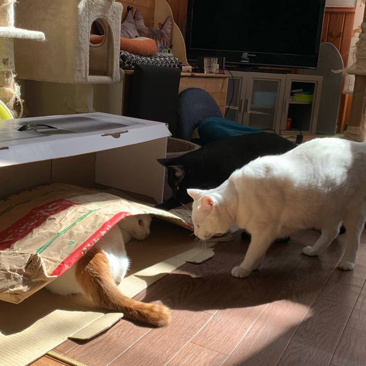 45a5e447 81f4 4765 aa3d 19653ec0d297 1571022660125