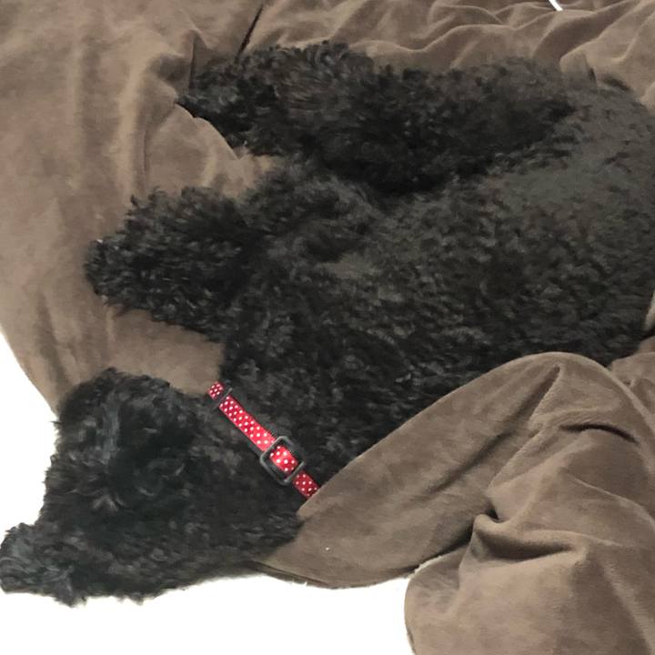 45a5e59e 4144 4a05 847e bda26f67dd59 1555222677085