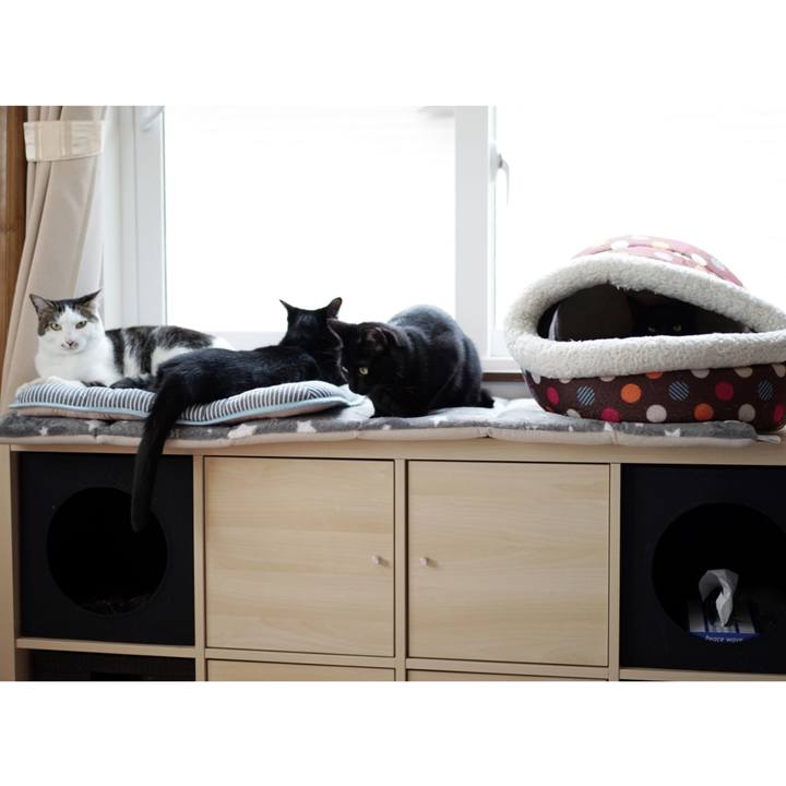 45a5fb70 8f43 4d01 a1b8 8d979bf323cd 1557646763007