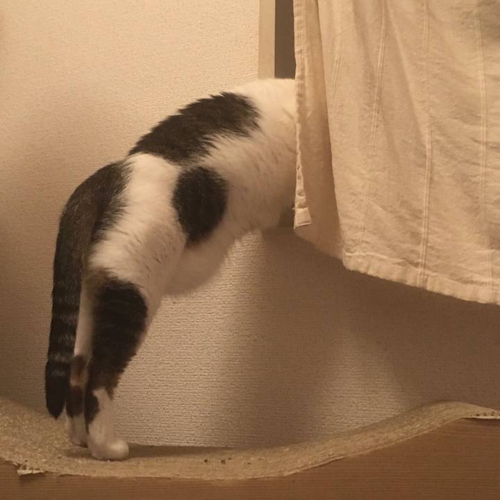 45a61c05 7f72 4a97 84ef 383c50619bd5 1633618168652