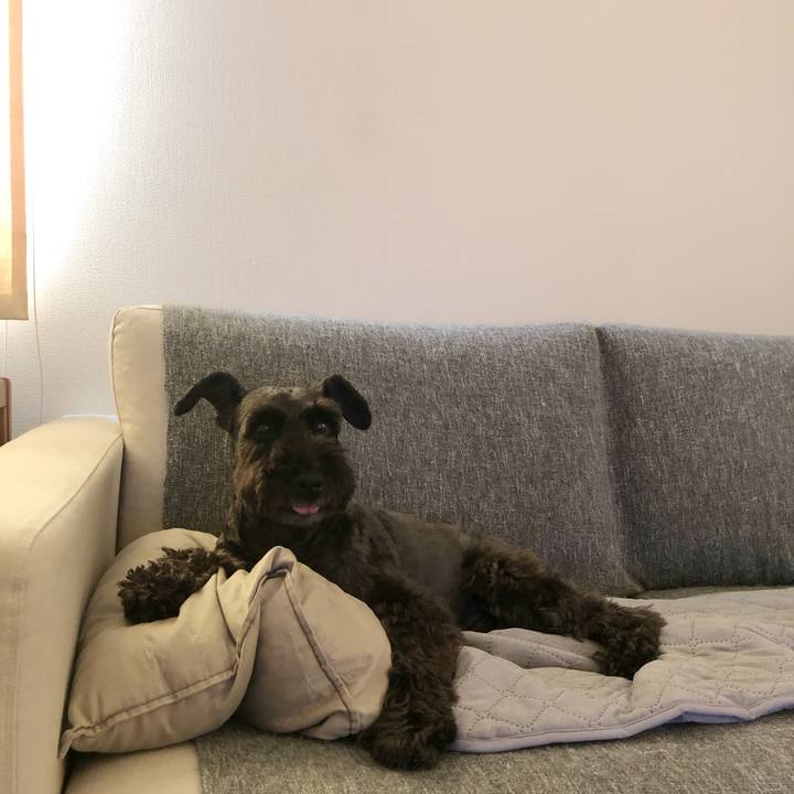 45a6388e e964 4833 99b9 0315b935b27a 1692496955806