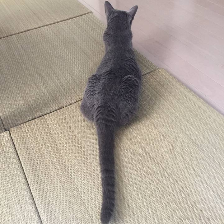 45a68c4a faed 400e b89c d5ca4f5af590 1565219774946