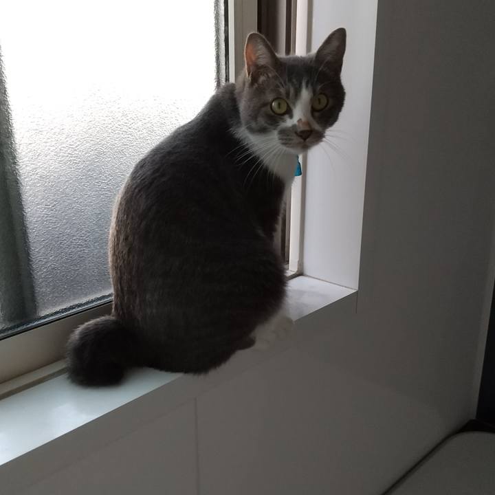 45a6a004 741b 4839 b362 5fa4c9aee709 1602544644953