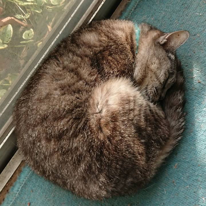 45a6bca1 63f6 47ff 9a97 e3bd53aa0d15 1570252811522