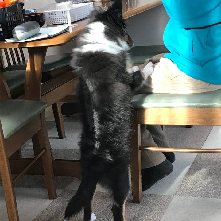 45a6c23d e3c6 49dc b33b 1f9362fa4a47 1515280917646