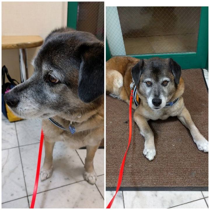 45a6c285 93ca 42de 83fc 697261b68c81 1553348757103