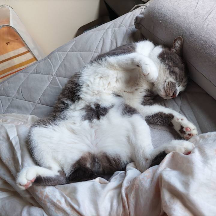 45a6c868 2c75 442c bc27 160d6c0784fc 1685252187125