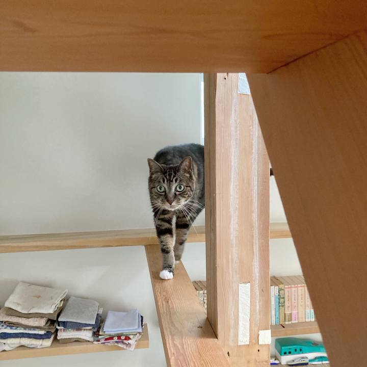 45a6cf79 c8c0 4ffd bc19 de175748d548 1595247651693