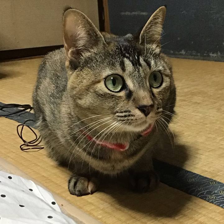 45a6e6b6 1231 46d7 949a 241a8167abd6 1607070973796