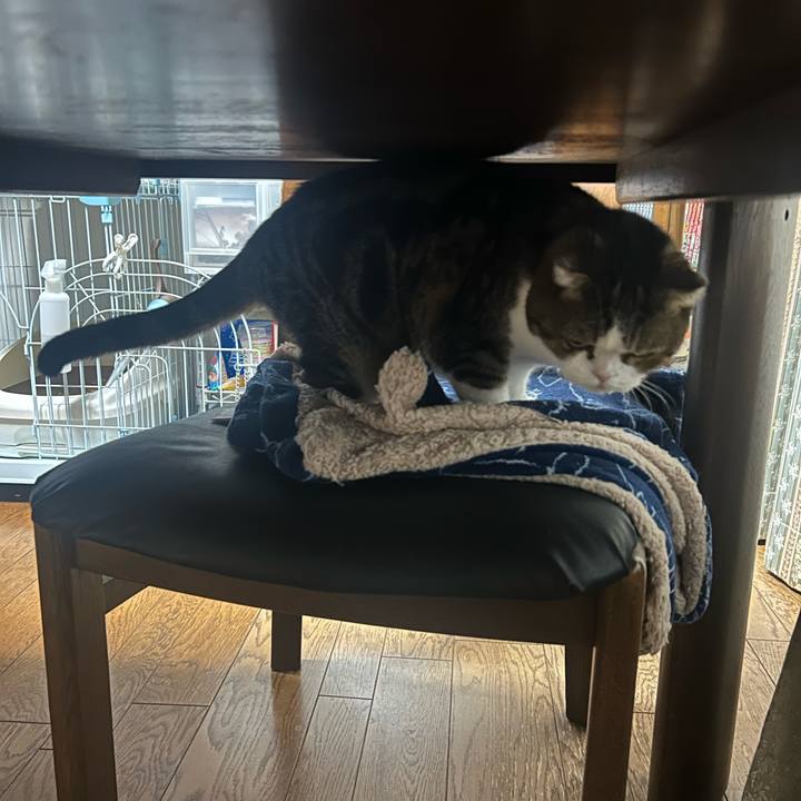 45a6f71b b822 4281 896d e3c96a914914 1769463970697