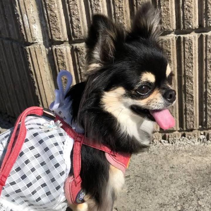 45a70186 c95f 48bb bcbb 38db2cea5f0d 1592871736335