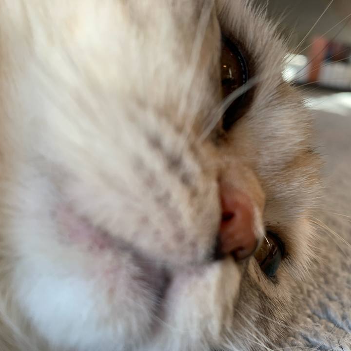 45a70e3f d06d 49f2 8f71 c3205fa97c1d 1708212922786