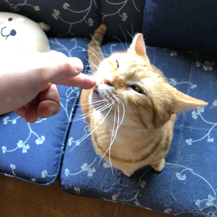 45a740b1 209e 4356 ac5c 7b2bbd6b8bef 1593819106946