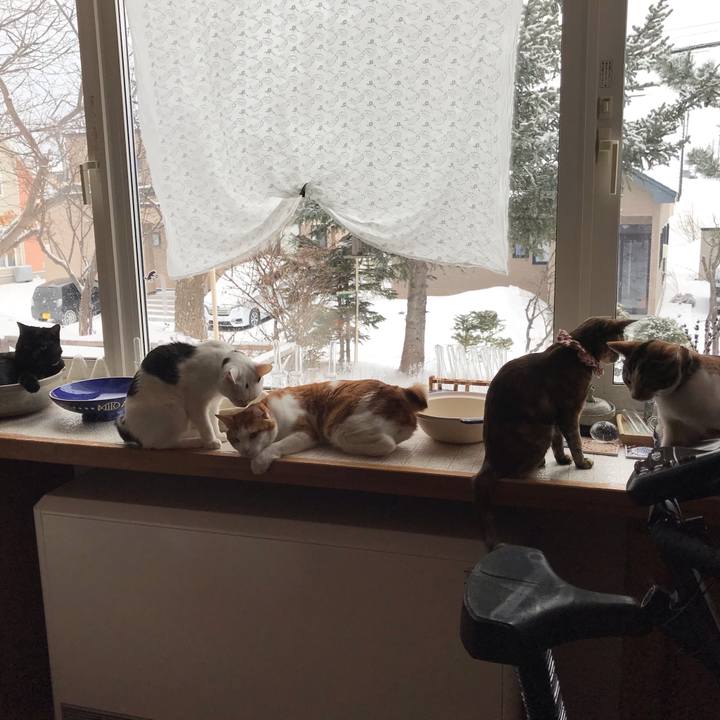 45a74305 b96e 4123 9100 566e6a804839 1616278724866