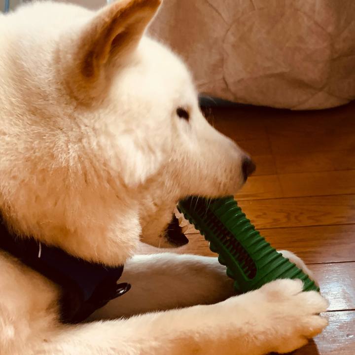 45a74b93 19aa 4289 9d01 ff1df5213d76 1652478496302