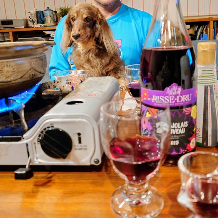 45a77f4b 132e 459c a366 a6fcb265c110 1764078973407