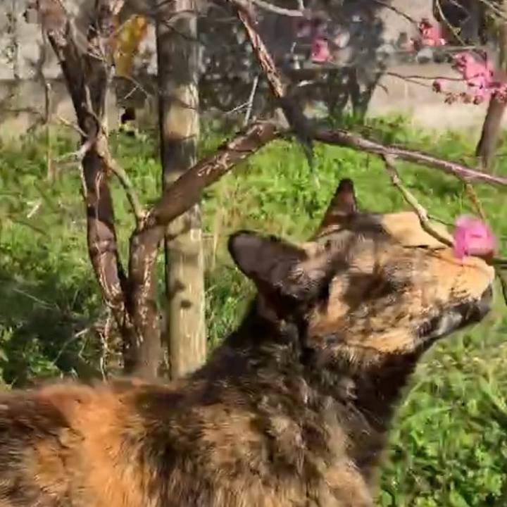 45a7891d 9c5a 461f 9e3d 1f1457174468 1741751733015