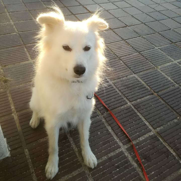 45a7daf2 c6dd 4e60 b1fd 1c3d4befd6f4 1513822120764