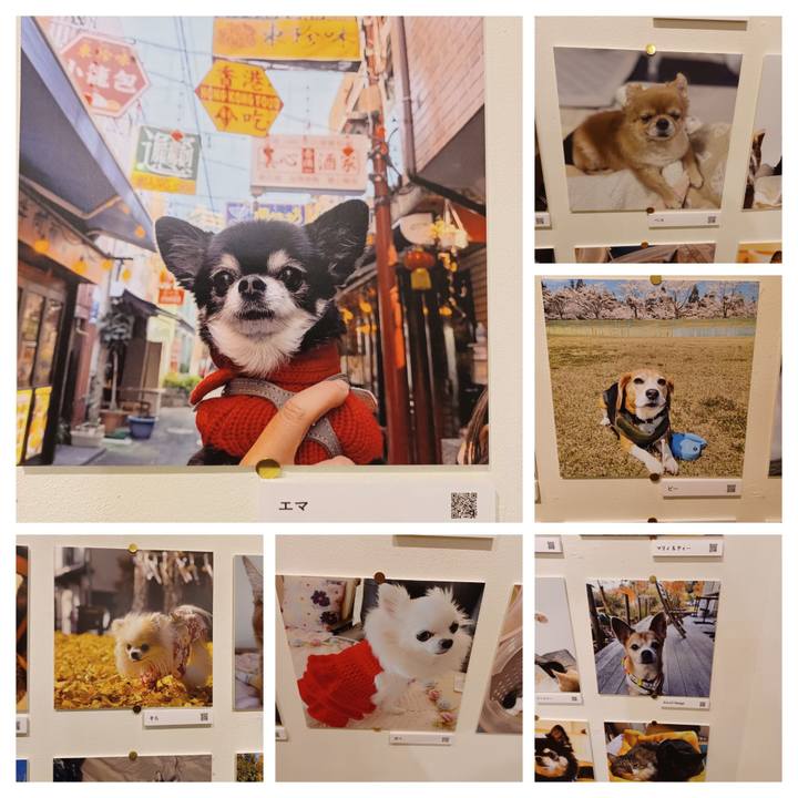 45a80d95 72eb 432e 910e d6ba11ff1ecd 1766391870011