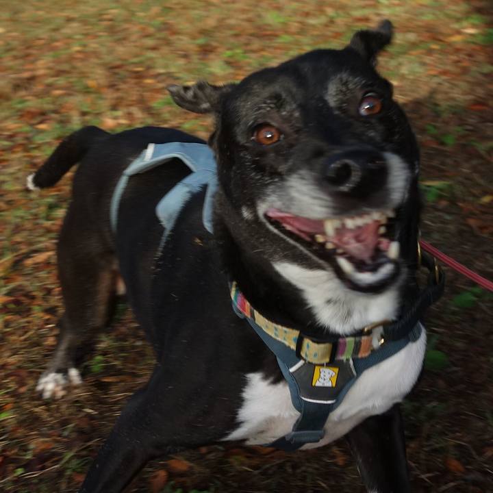 45a82467 e55e 4e62 ace4 81f526653298 1730765209671