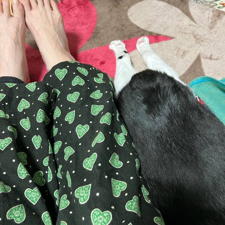 45a8270a 2511 49fb 9ec0 99a9cf6e381f 1771842684327