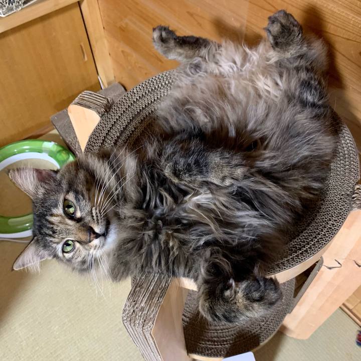 45a83d3d 8e03 4f00 8b99 c8c0200e4f5a 1682684437275