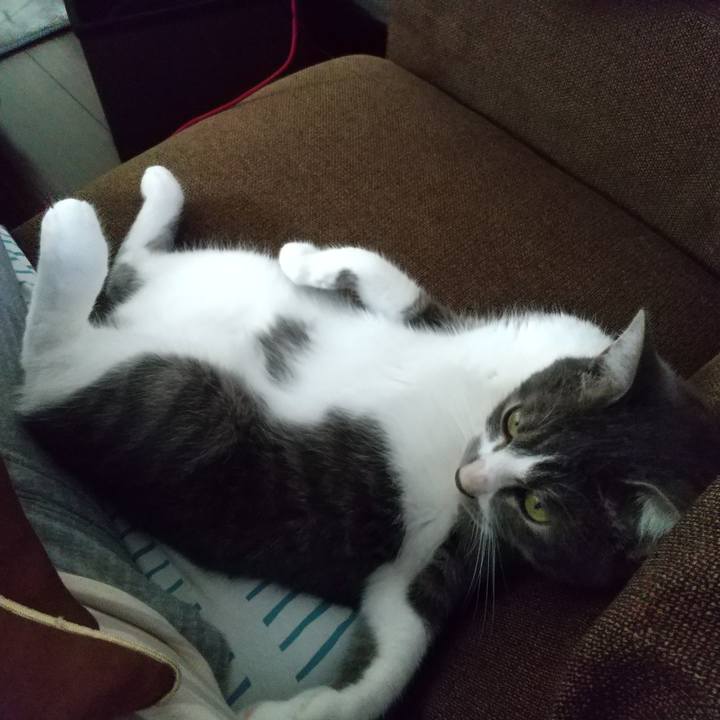 45a87f4d 83b7 48fc 82aa 3a418d86291e 1601188236268