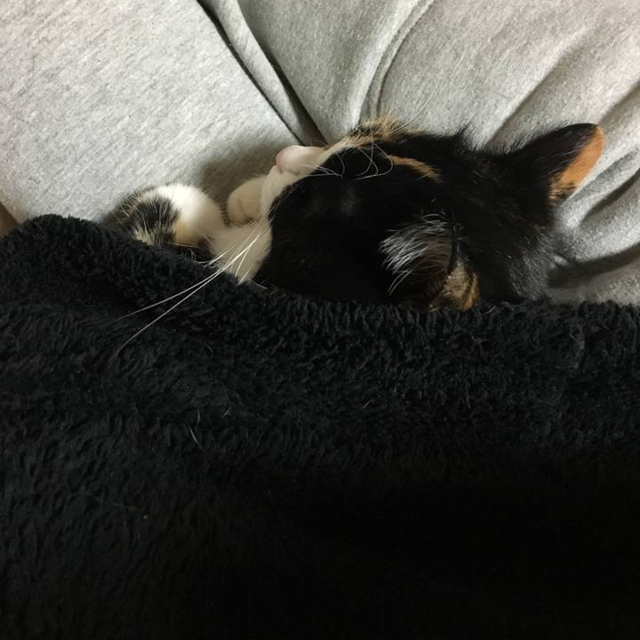 45a89b29 2098 416e b5ce 68be46376a1c 1514906723927