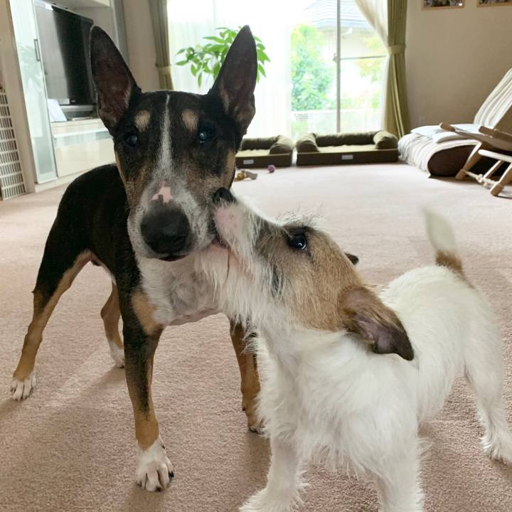 45a8d478 e052 407a b092 ce8e595844b5 1569731971597