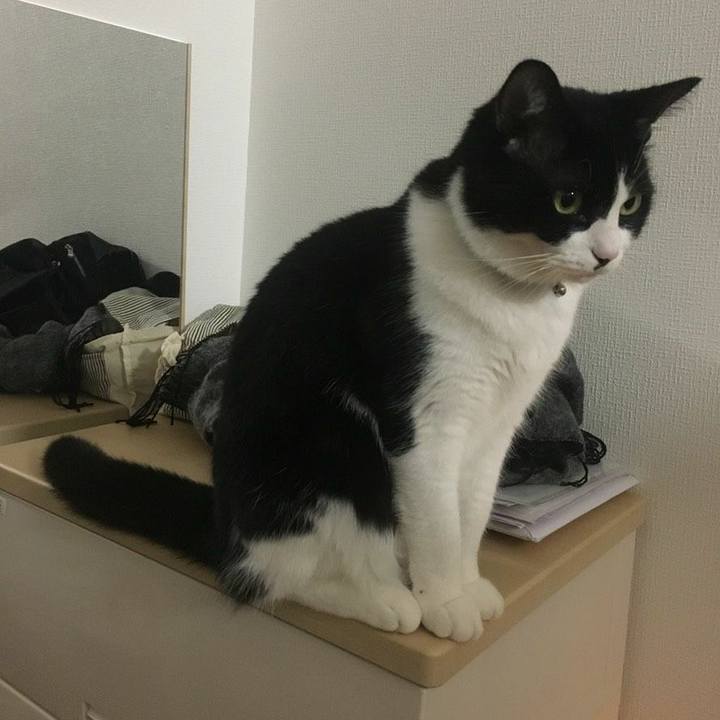 45a90d2b 4793 49ed 90b8 2d786307aa78 1543268467515