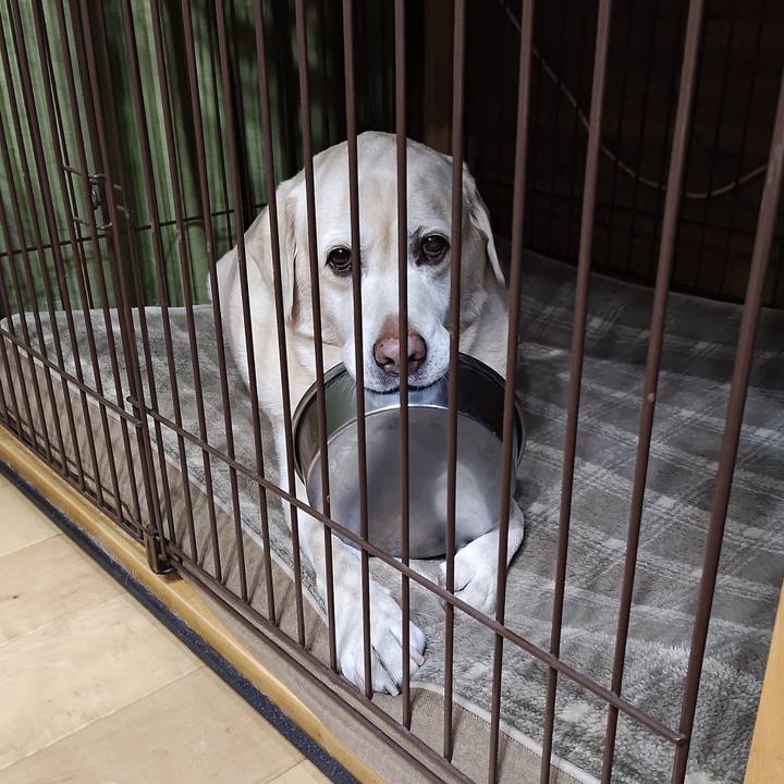 45a94c4c e80f 4b74 8df1 ea88dcc30880 1765017785602