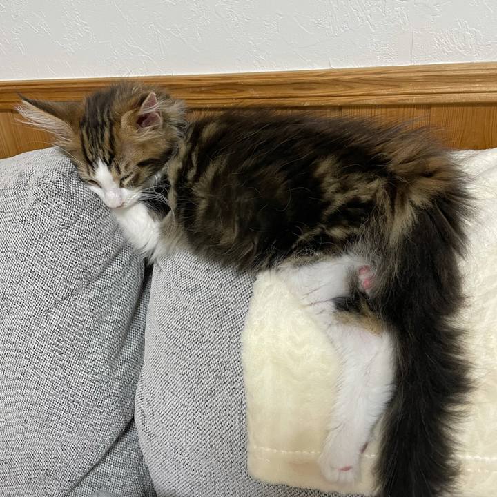 45a95961 3cbb 4165 aab2 35ca26ae97ee 1632132398752