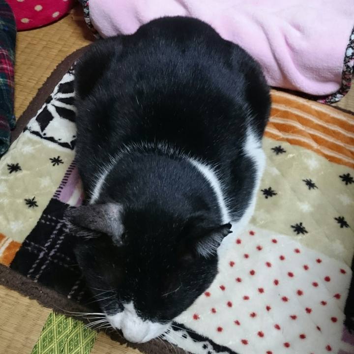 45a97261 f419 4ed1 96be fe0b6999508c 1518738641857