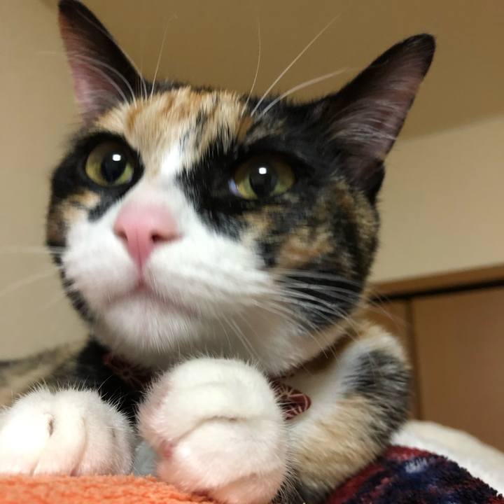 45a97e0d a5ab 473f b51c 34f5d505433a 1554041234867