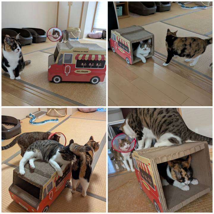 45a995e9 cbf5 436f 8d8d 33ec5dba27de 1749623404717