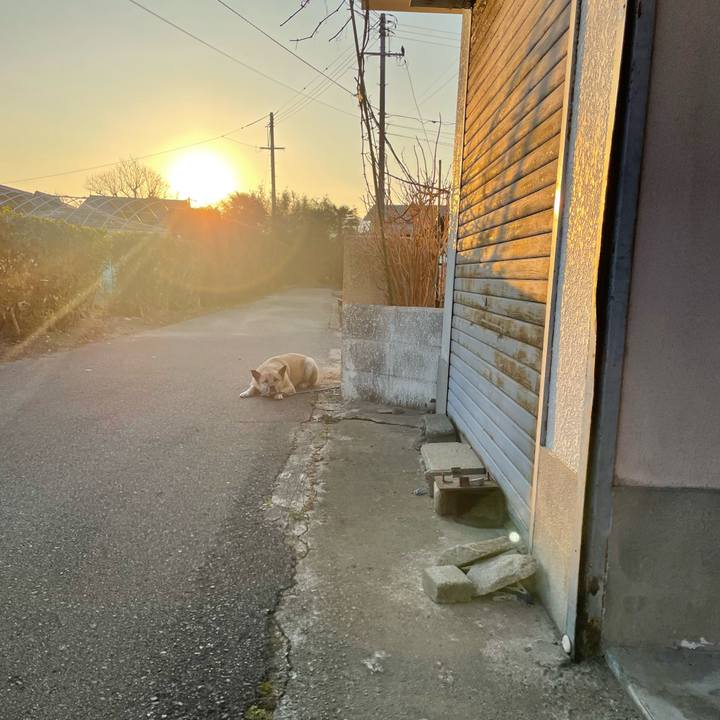 45a9bfd0 ba96 4ee3 919a eb1bed36e1bd 1645791467447