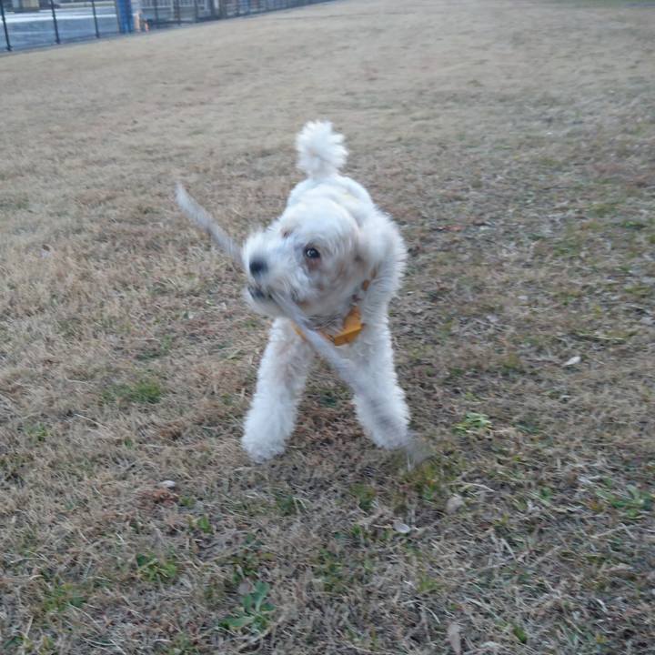 45a9ebec 2c65 454f 8ab6 641290771633 1516780762941