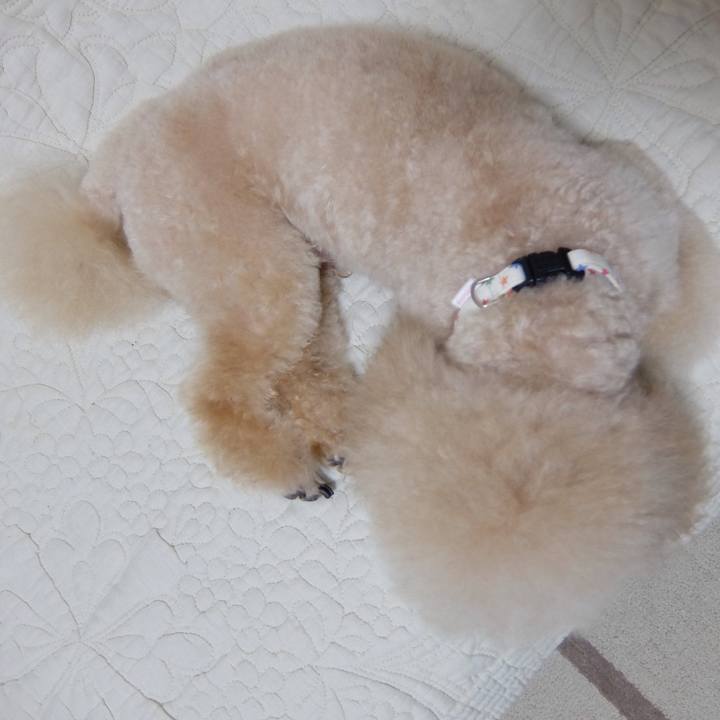 45a9f0a7 55ea 4f83 9e9d 8422ea58e65b 1566014036701