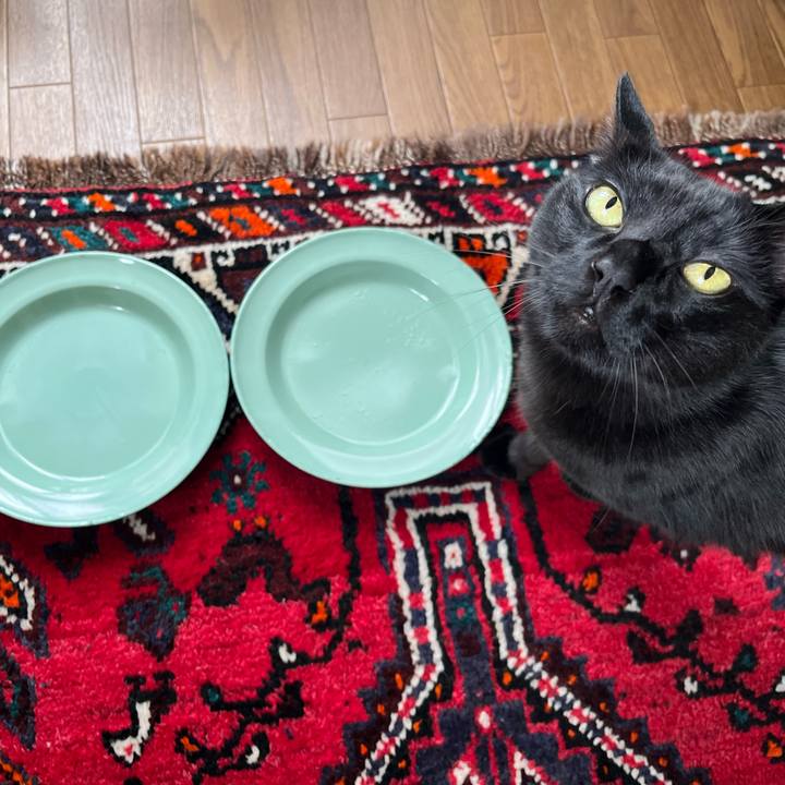 45a9f5ed 3aa6 4e2f 9f58 dc2b2151663e 1748856305609