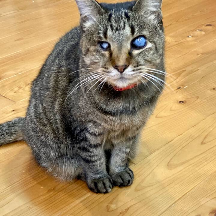 45aa0ec0 33c4 4884 81b3 1a8b3c5a7aa4 1639738863773