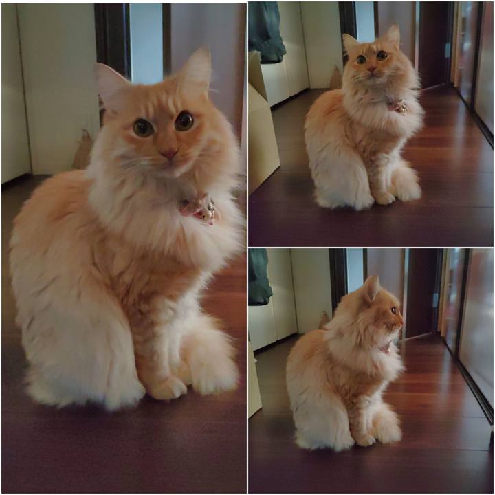 45aa3b35 35c5 41f2 b1b6 e656338f31b8 1673393726953