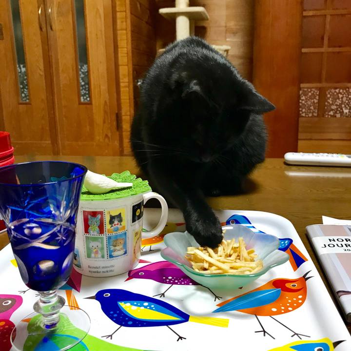 45aa587b 7dd3 4e41 8ec6 acfc12fdf6eb 1555329020350