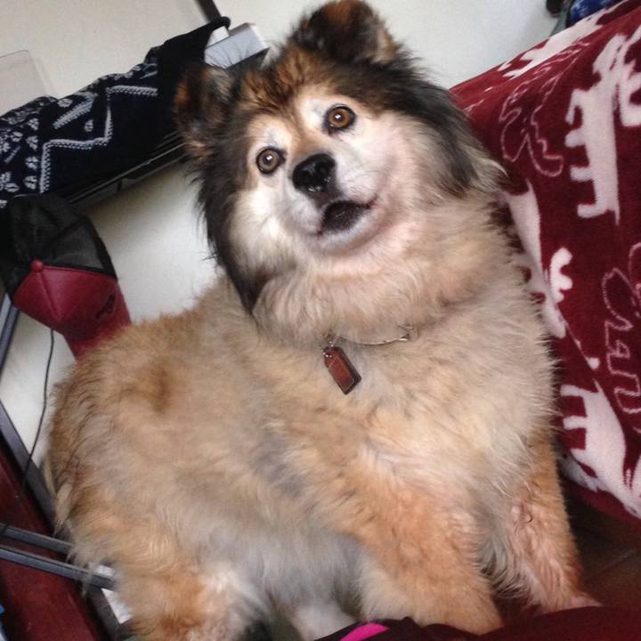 45aa5bdc 9ae9 443e 856e a98e5dcb101a 1548151870785