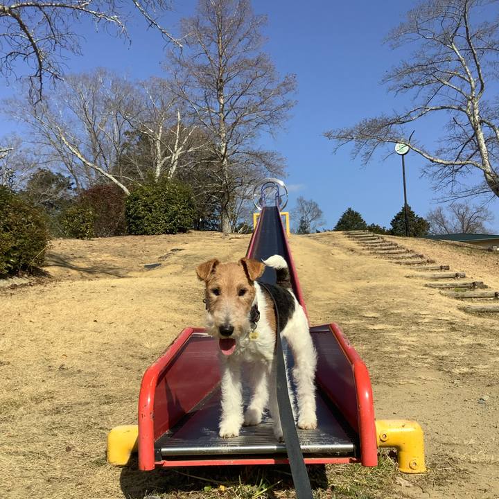 45aa6de8 d301 44cf 928d c0d8140e5040 1768731339982