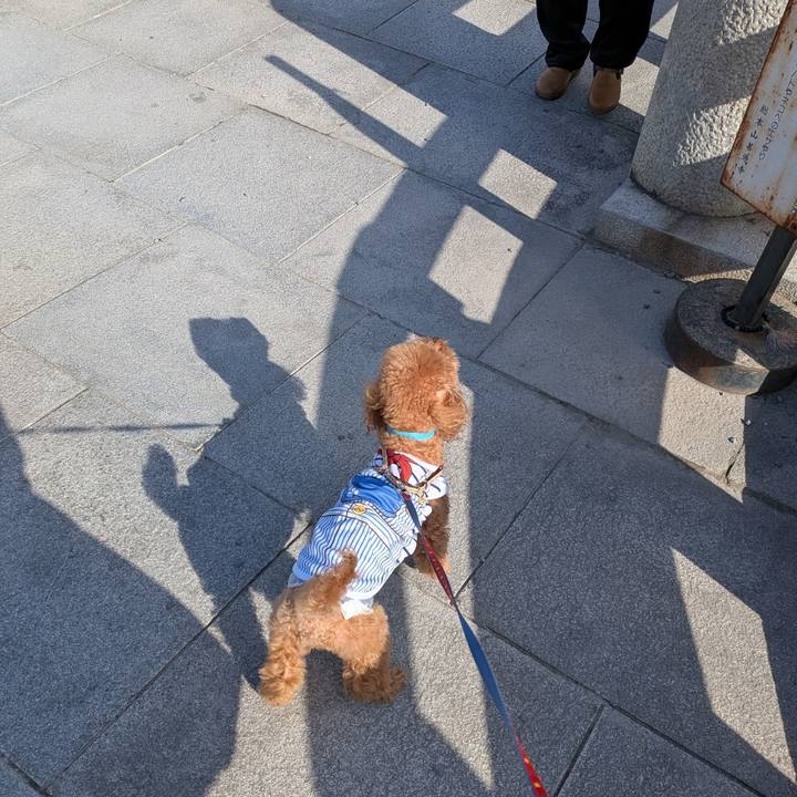 45aa87db 32f5 4002 9f08 cfa99d156a29 1767409408262