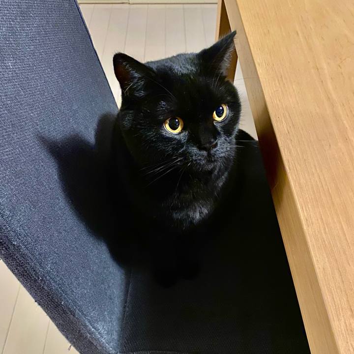 45ab0542 fa89 4b93 9dd5 f23b14936871 1641376687667