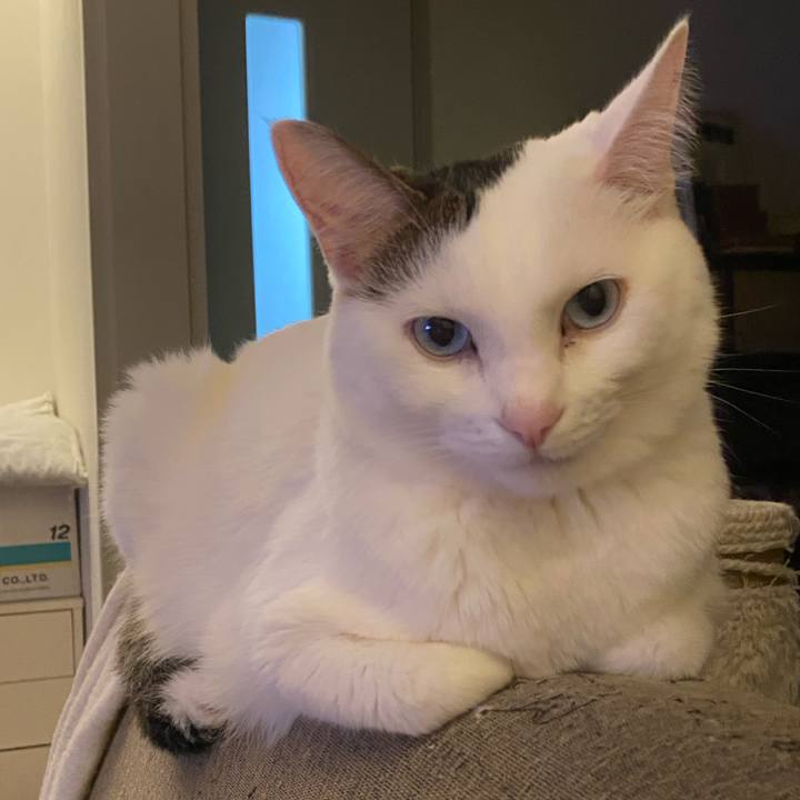 45ab0949 9e34 4c24 908b b3f9498087d6 1672355580469