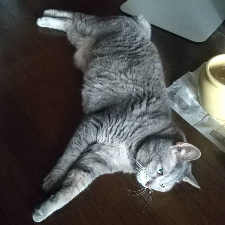 45ab240f 124f 4fcd b6a9 e3c3354e0f48 1660615891160