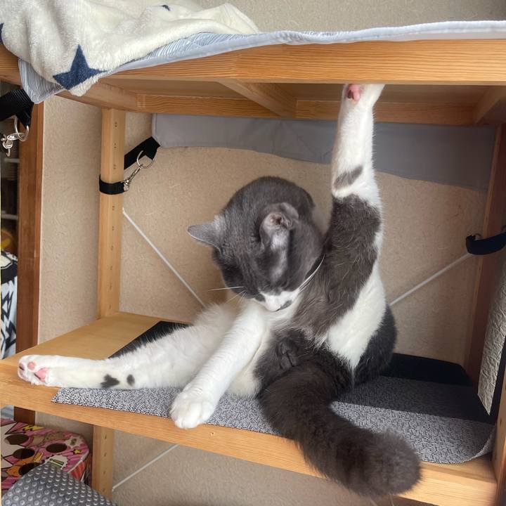 45ab3b21 e695 4e7a 8dfd 3f1e06001d7e 1752889443694